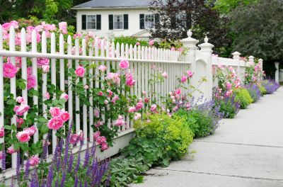Classic Picket Fence