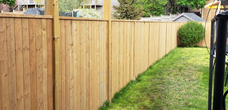 Fence in a Residential Yard